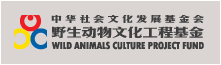China Foundation for the Development of Social Culture