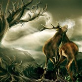 The breath of the Red Deer