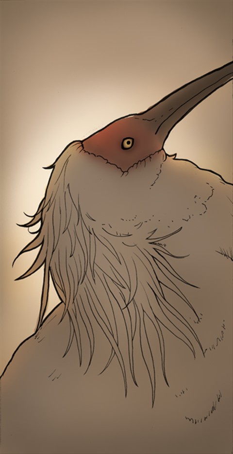 Crested Ibis Painting WIP 01